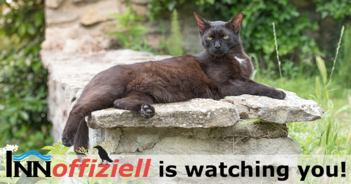 innoffiziell