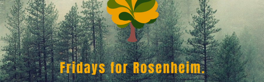 Fridays for Rosenheim